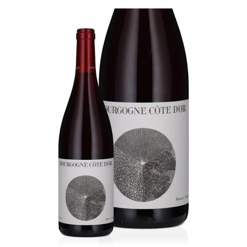 Louis Jadot Bourgogne Cote d’Or Rouge 2022 12pack 13.5% 750ml