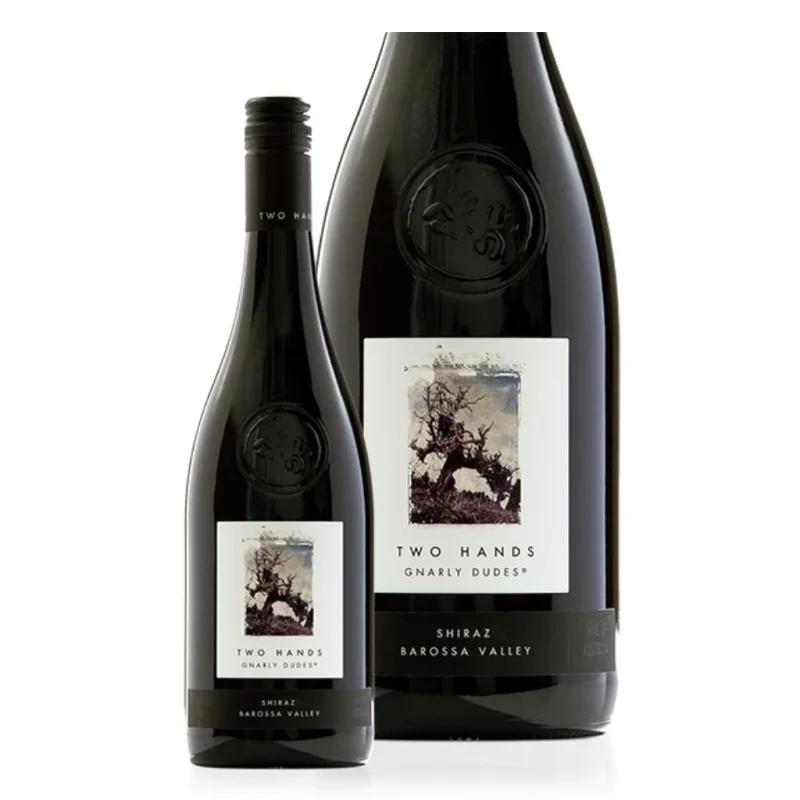 Two Hands Gnarly Dudes Shiraz 2024 12pack 14.2% 750ml