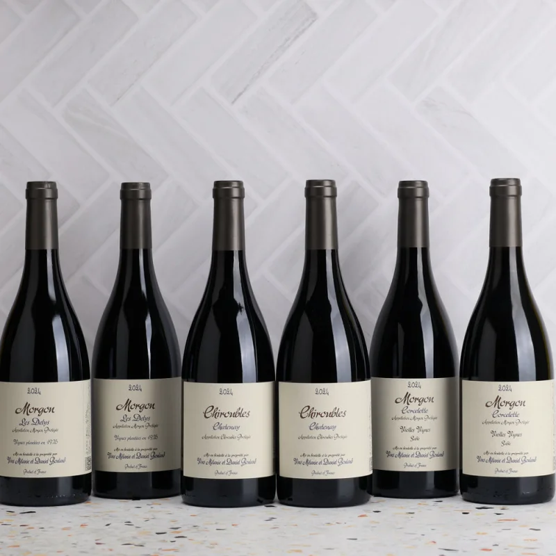 Domaine Daniel Bouland Gamay Premium Pack