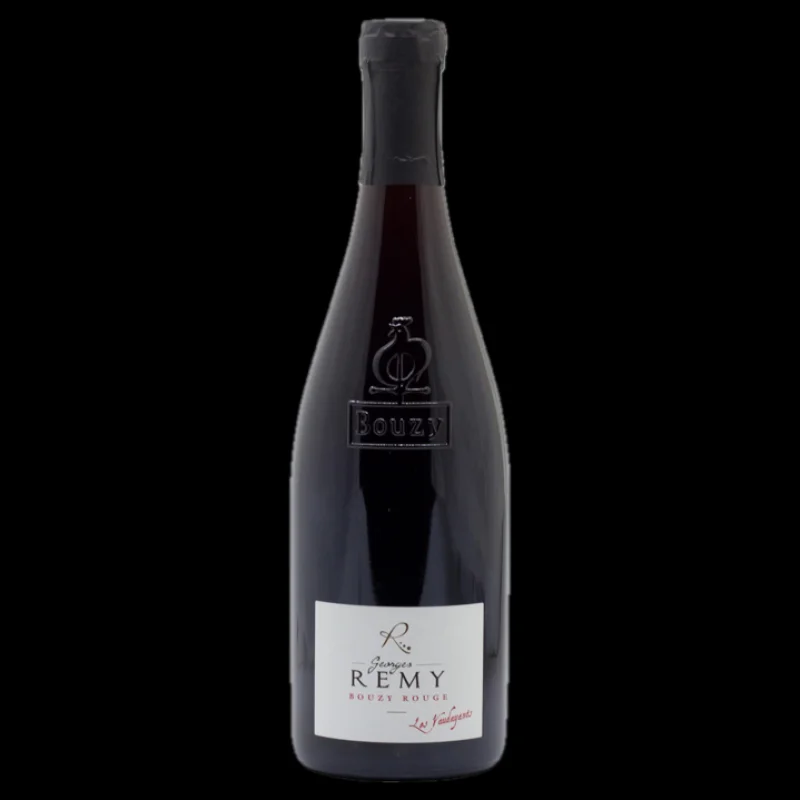 2014 Georges Remy Bouzy Rouge Les Vaudayants