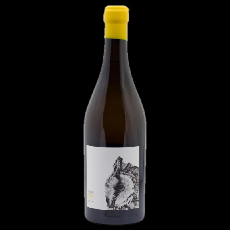 2014 Sicus Sons Xarel-lo Amphora in vines